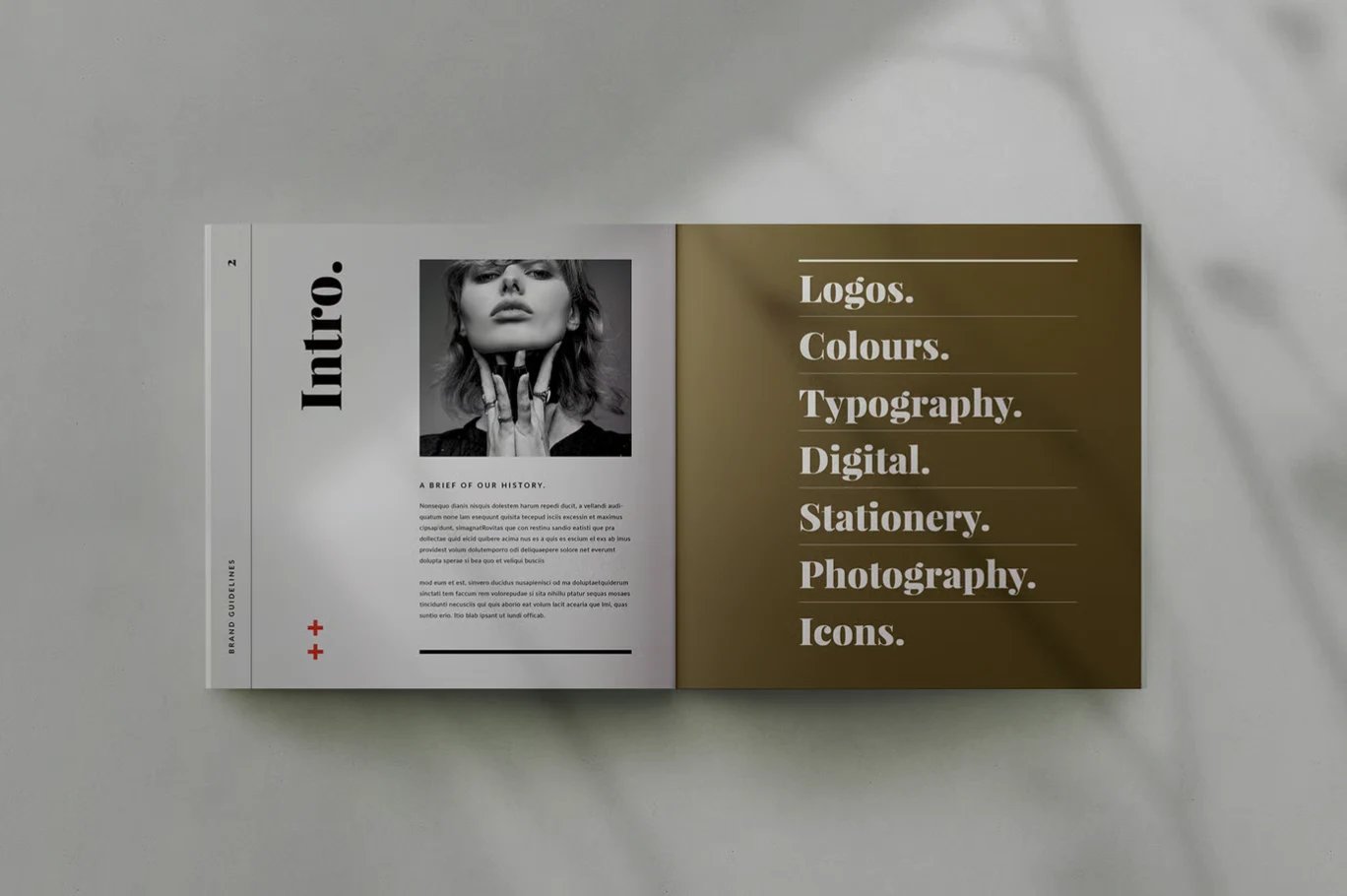 Brand Identity