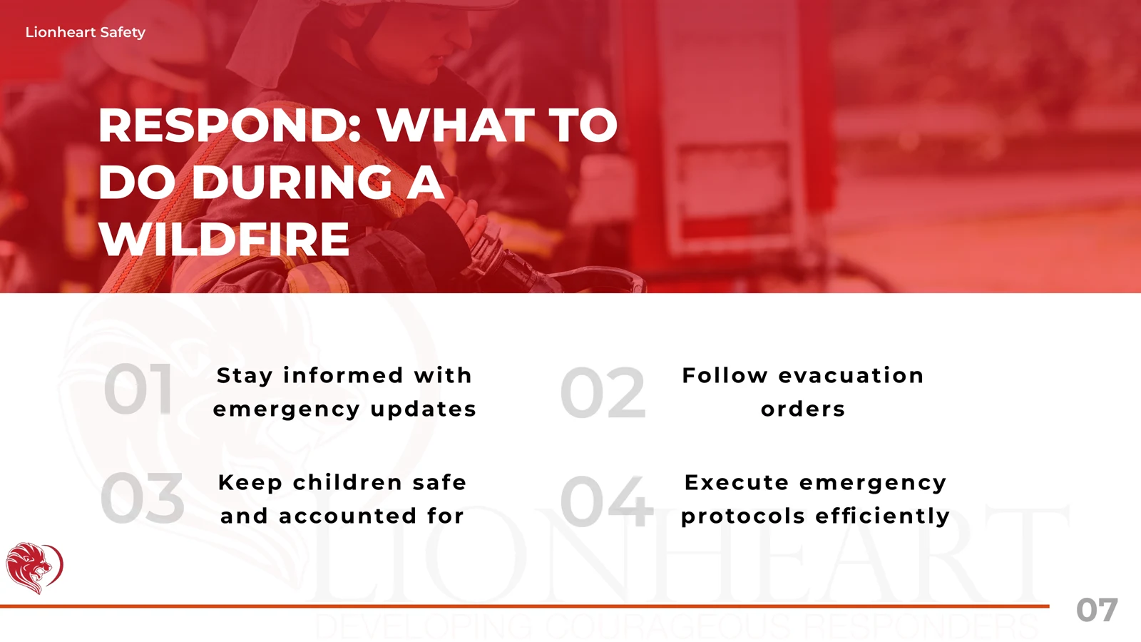 Lionheart Safety — detail 3