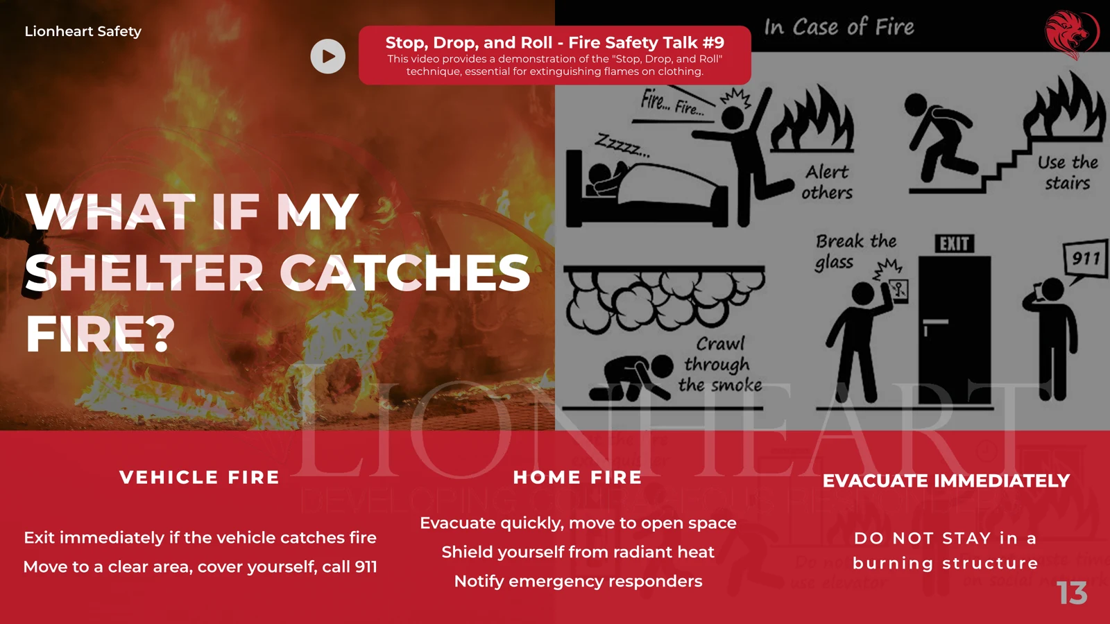 Lionheart Safety — detail 5
